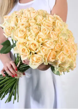 101 cream roses