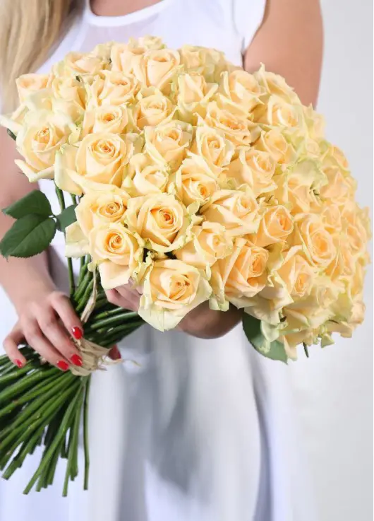 101 cream roses 101 cream roses
