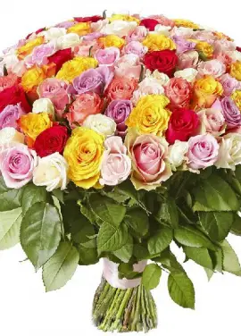 101 multi-colored roses