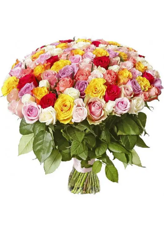 101 multi-colored roses 101 multi-colored roses