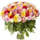 101 multi-colored roses 101 multi-colored roses