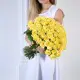 101 yellow roses