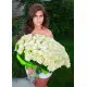 101 white rose "Classic" 101 white rose "Classic"
