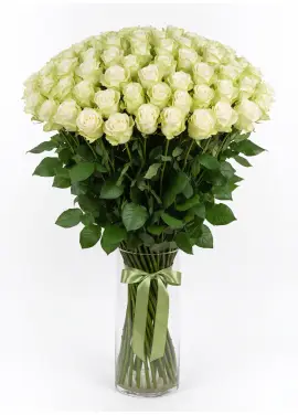 101 white roses
