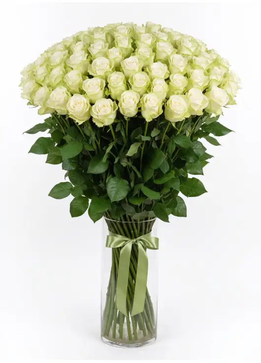 101 white roses