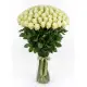 101 white roses