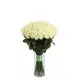 101 white rose "Classic"