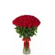 101 red roses 
