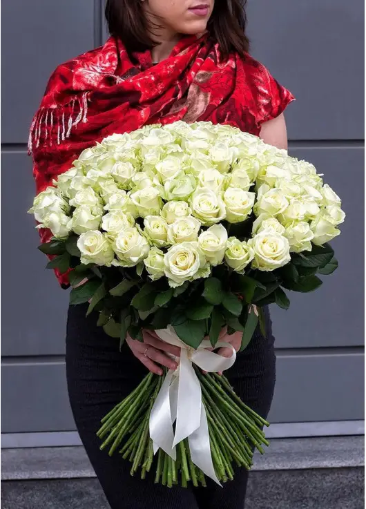 101 white rose "Classic" 101 white rose "Classic"