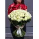 101 white rose "Classic" 101 white rose "Classic"