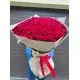 101 red roses 101 red roses