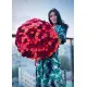 Glamor 101 rose Elite 80 cm