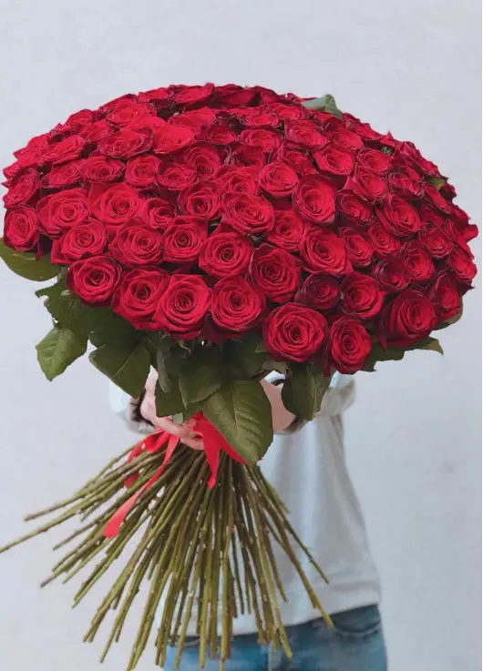 101 red roses 101 red roses