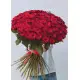 101 red roses 101 red roses