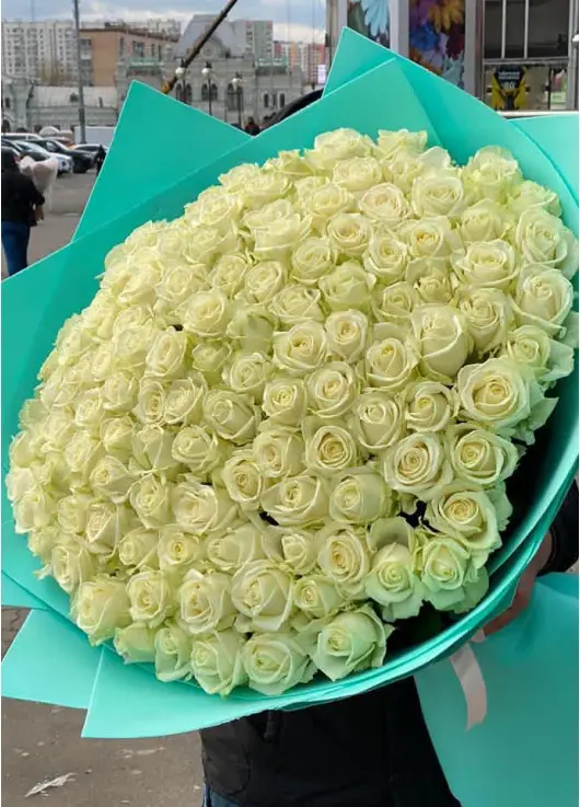 101 white rose "Classic"