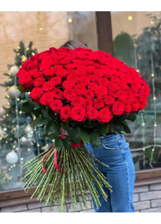101 red roses 101 red roses