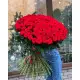 101 red roses 101 red roses