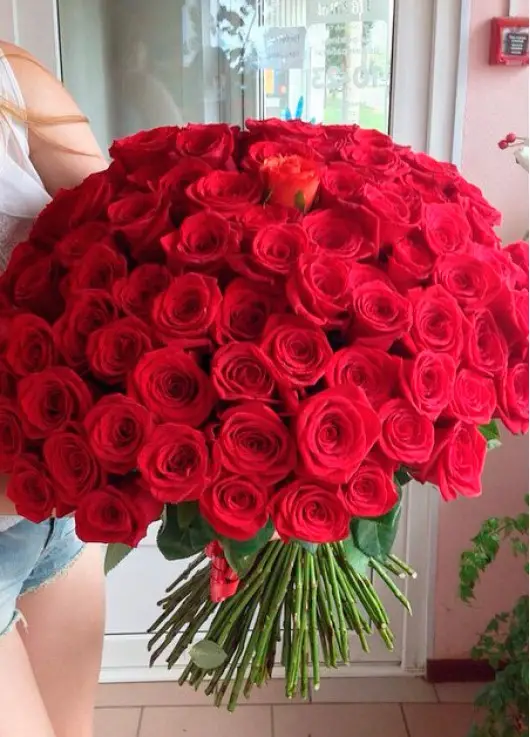 101 red roses 101 red roses