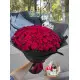 101 red roses 101 red roses