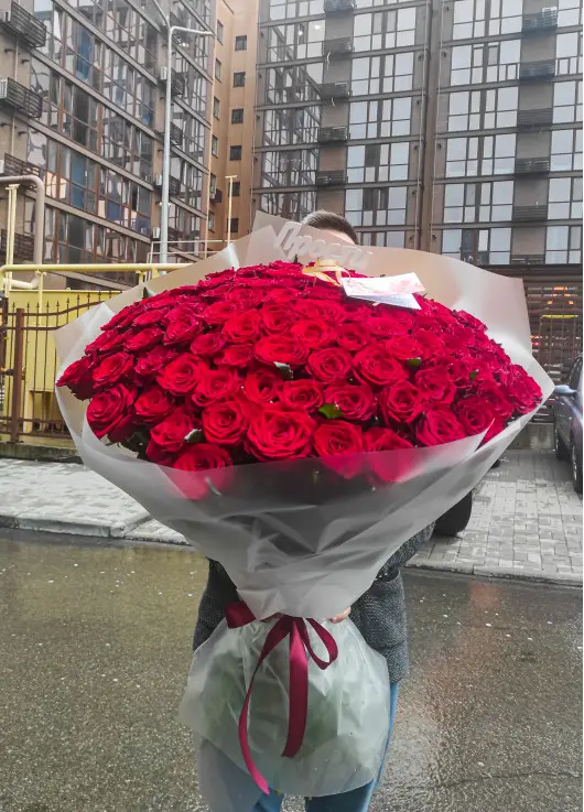 101 red roses 101 red roses