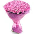101 pink rose