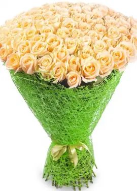 101 cream roses