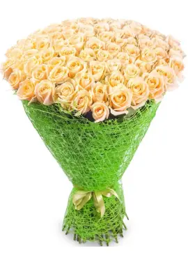 101 cream roses