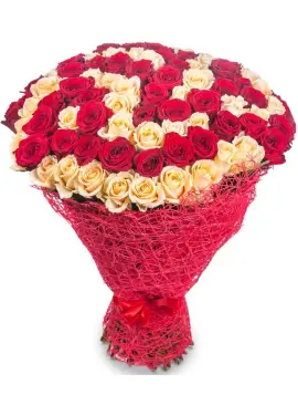 101 red and white roses "Milan" 70cm