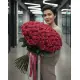 101 meter pink rose