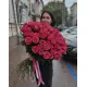 101 meter pink rose