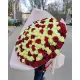 101 red and white roses "Milan" 70cm