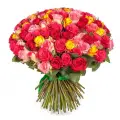 101 roses