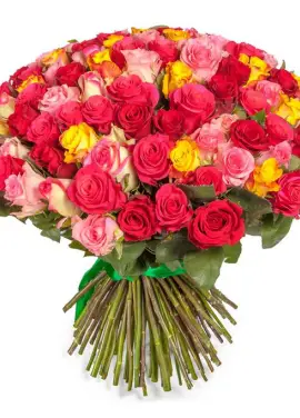 Glamor 101 rose Elite 80 cm