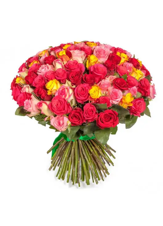 Glamor 101 rose Elite 80 cm