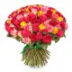 Glamor 101 rose Elite 80 cm