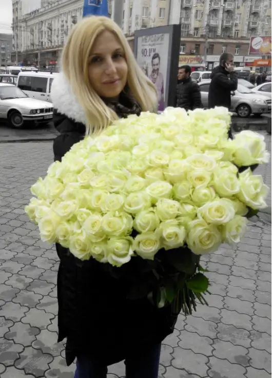 101 white rose "Classic" 101 white rose "Classic"