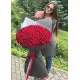 101 red roses 101 red roses