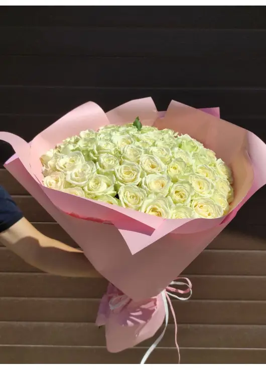 101 white rose "Classic" 101 white rose "Classic"