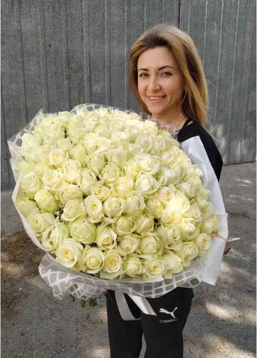 101 white rose "Classic" 101 white rose "Classic"