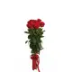 11-rose bouquet: red roses “Grand Prix”