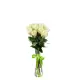 11-rose bouquet: white roses “Avalanche”