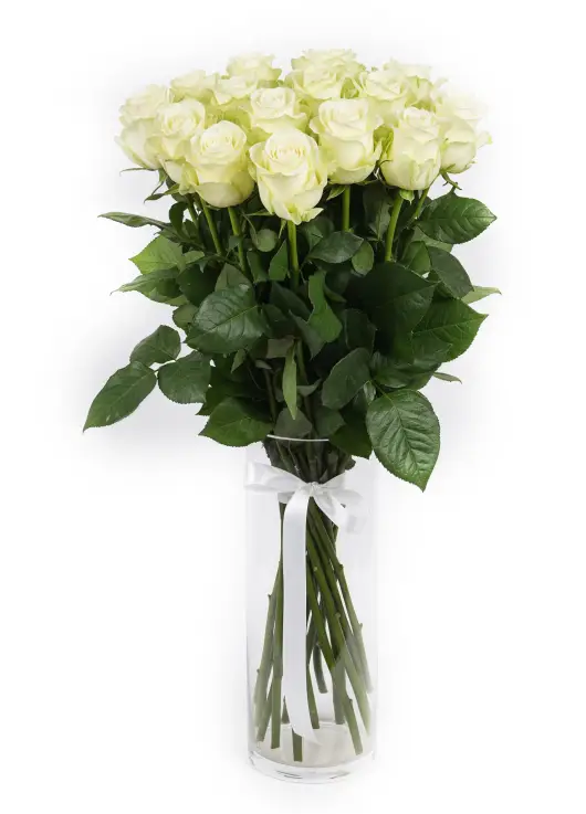 15-rose bouquet: long-stem imported white roses “Mondial”
