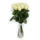 15-rose bouquet: long-stem imported white roses “Mondial”