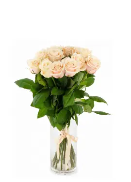 15-rose bouquet: cream roses “Talea”