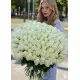 151 White Rose - Bouquet "Snow White"