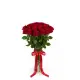 Federica 19 red roses
