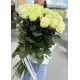21-rose bouquet: long-stem imported white roses “Mondial”