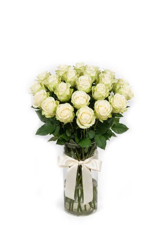 21-rose bouquet: white roses “Avalanche”