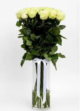 21-rose bouquet: long-stem imported white roses “Mondial”