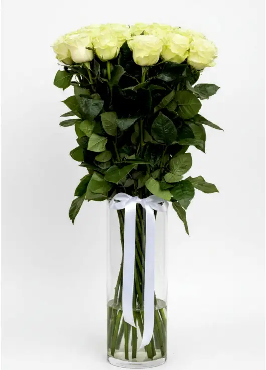 21-rose bouquet: long-stem imported white roses “Mondial”